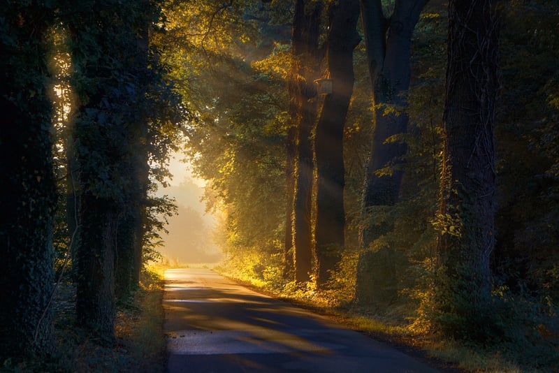Black Forest, Germany